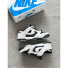 Dunk low Jumbo Reverse panda